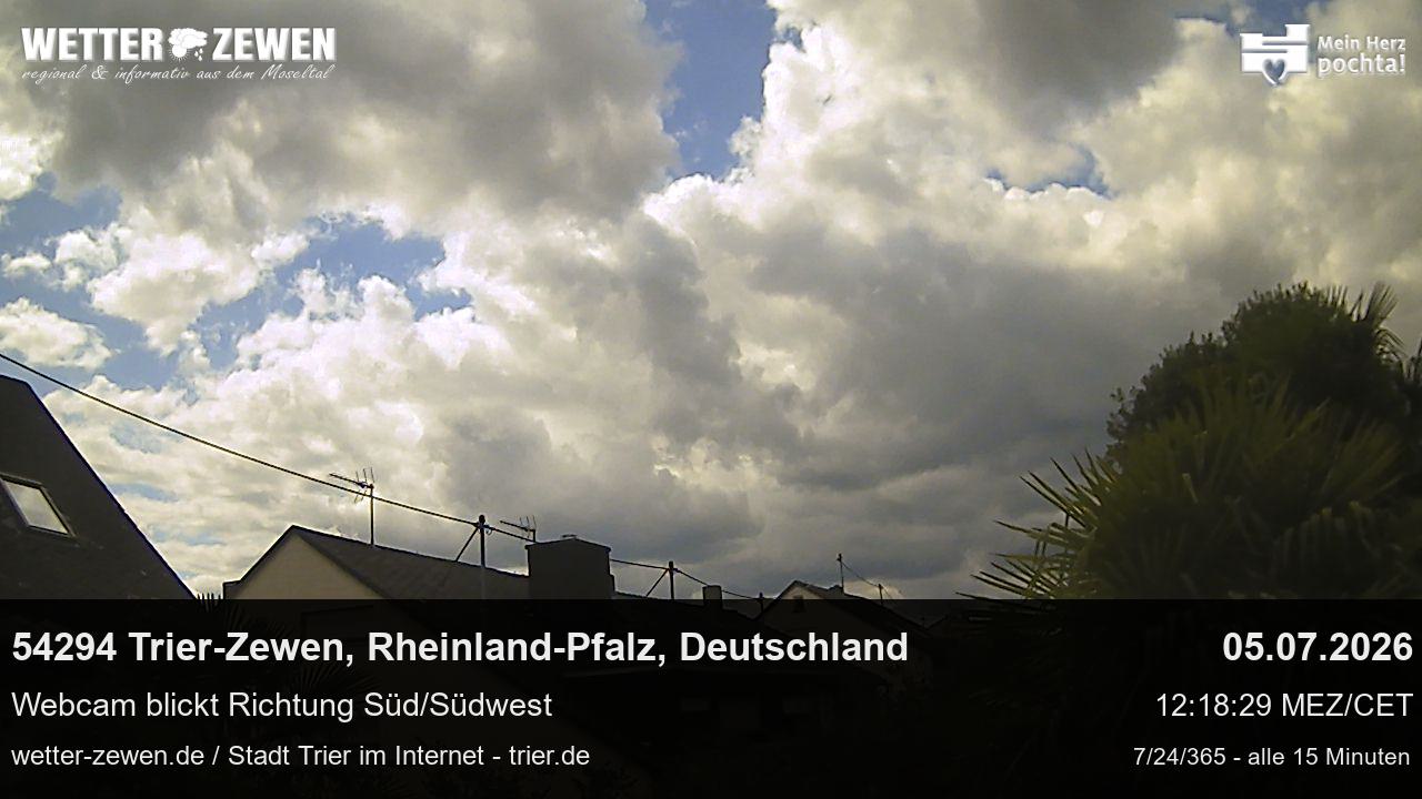 Bild