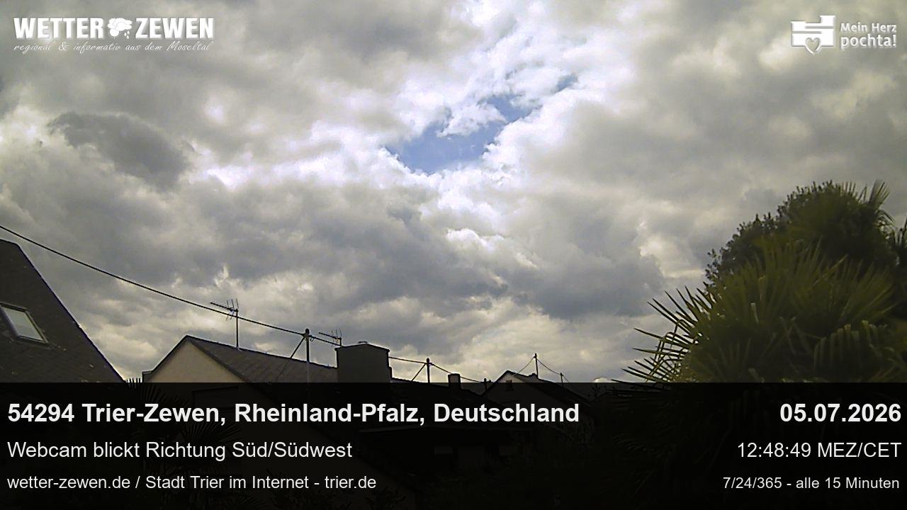 Bild