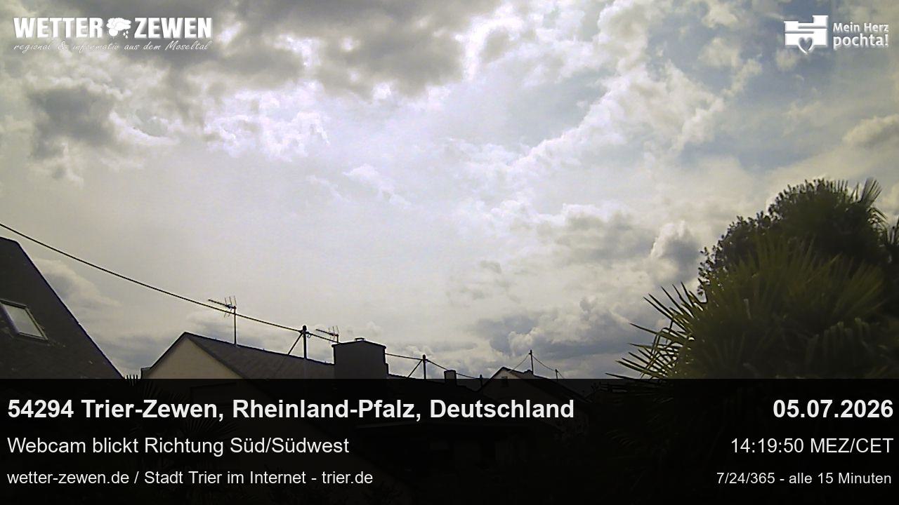 Bild