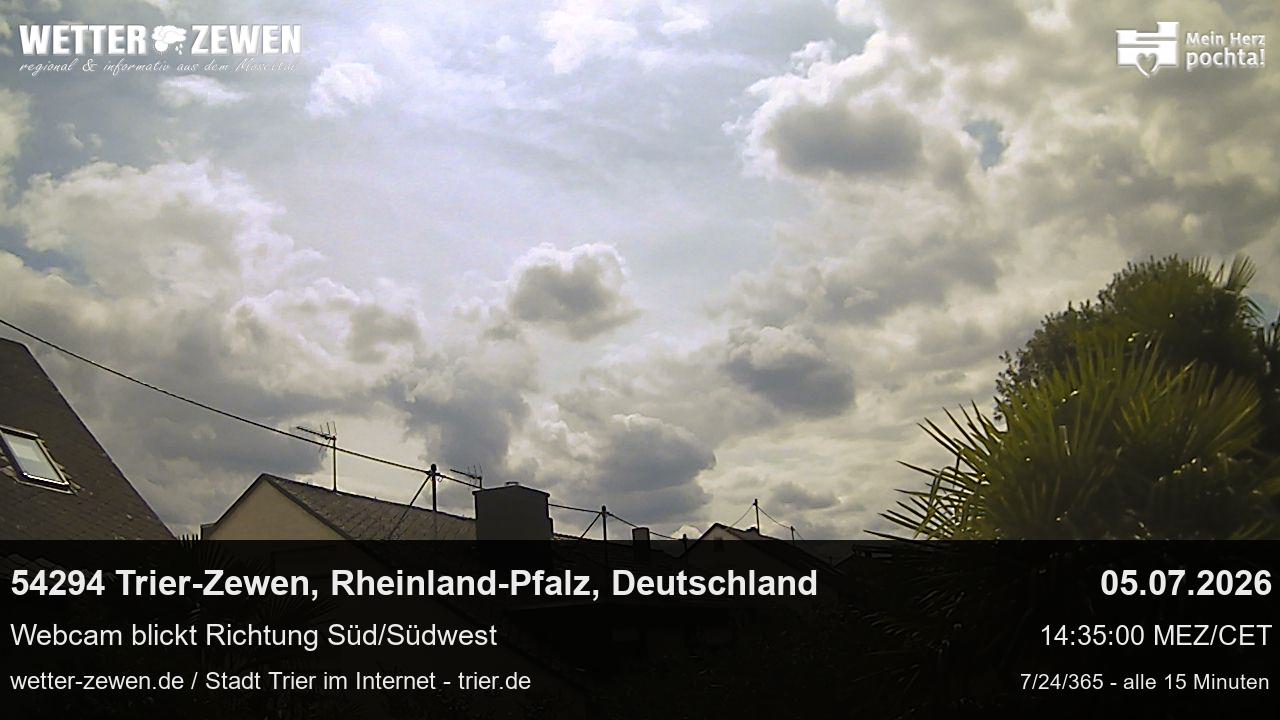 Bild