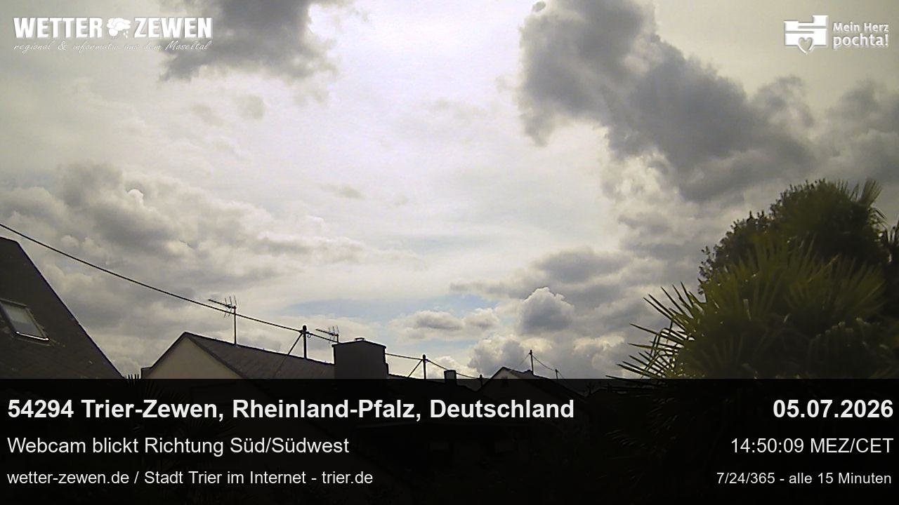 Bild
