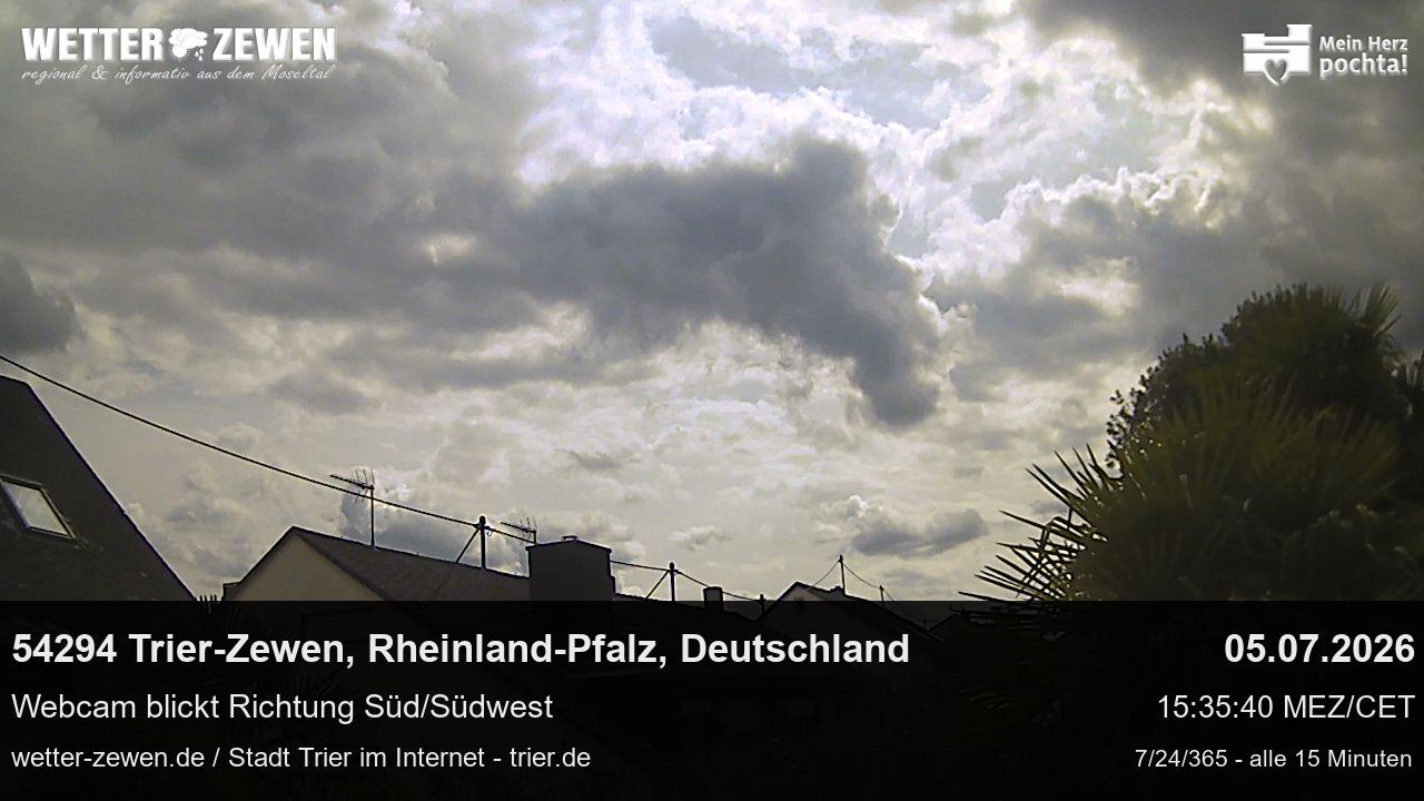 Bild