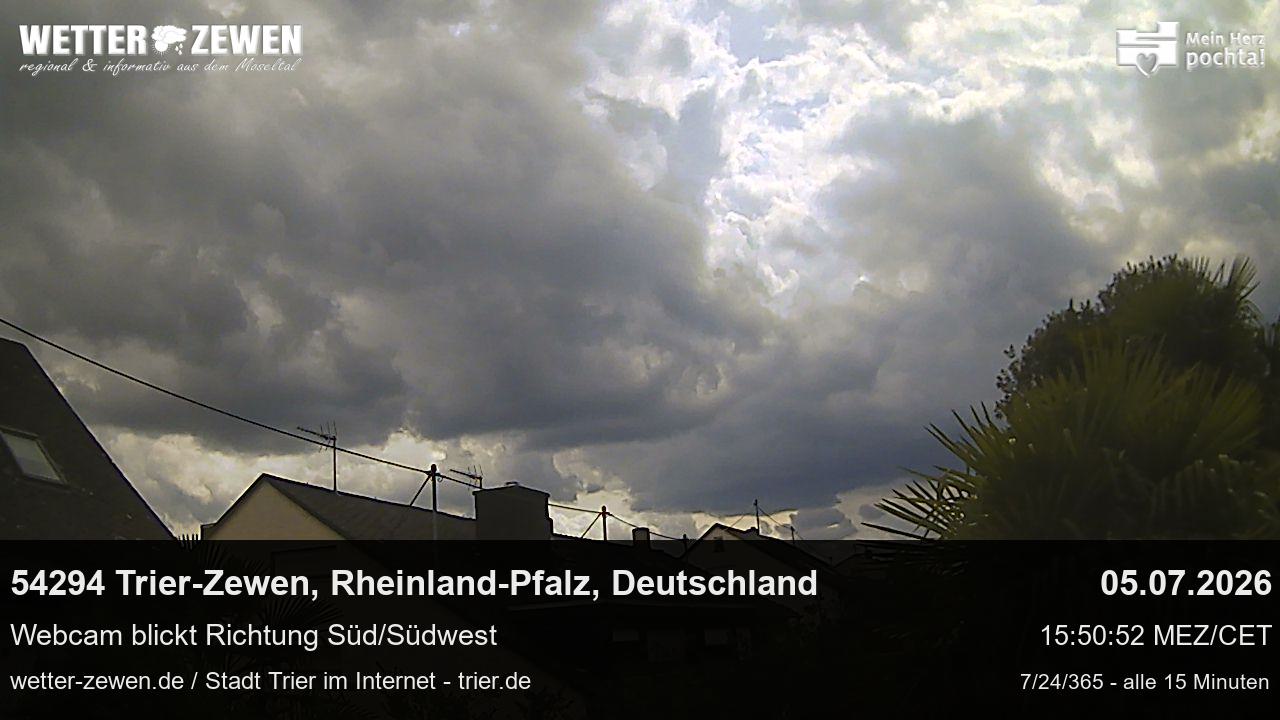 Bild