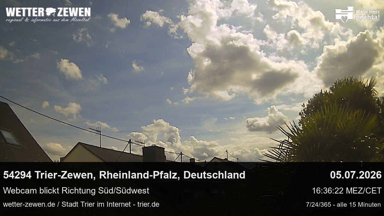 Bild