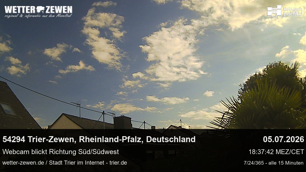 Bild