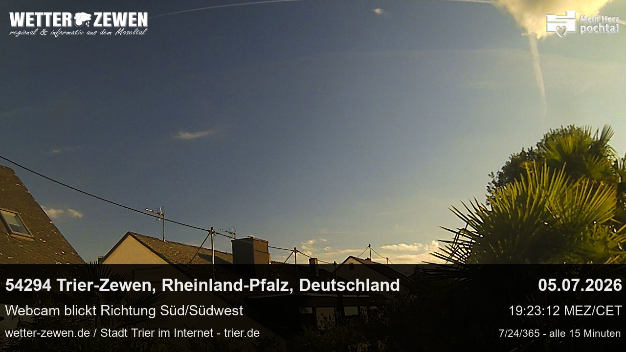Bild