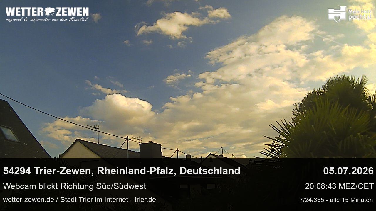Bild