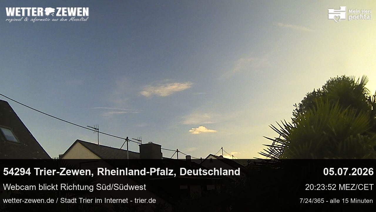 Bild