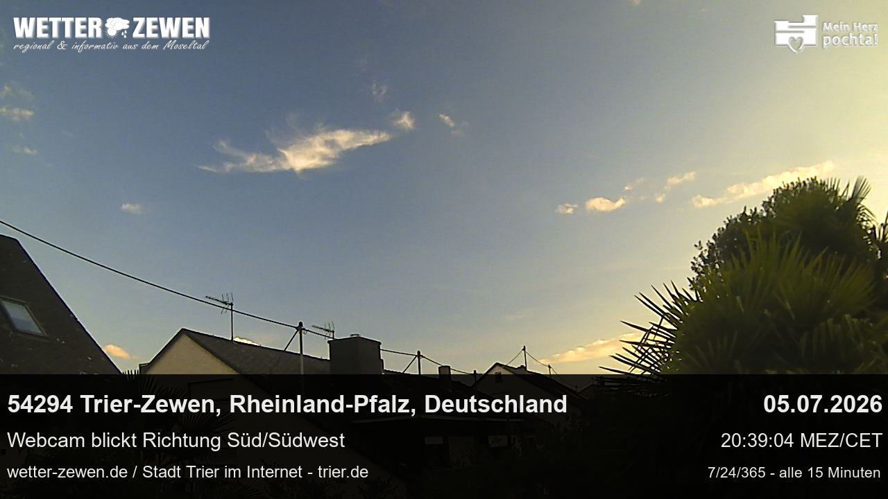 Bild