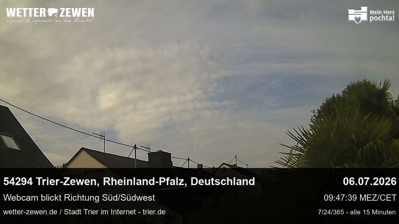 Bild