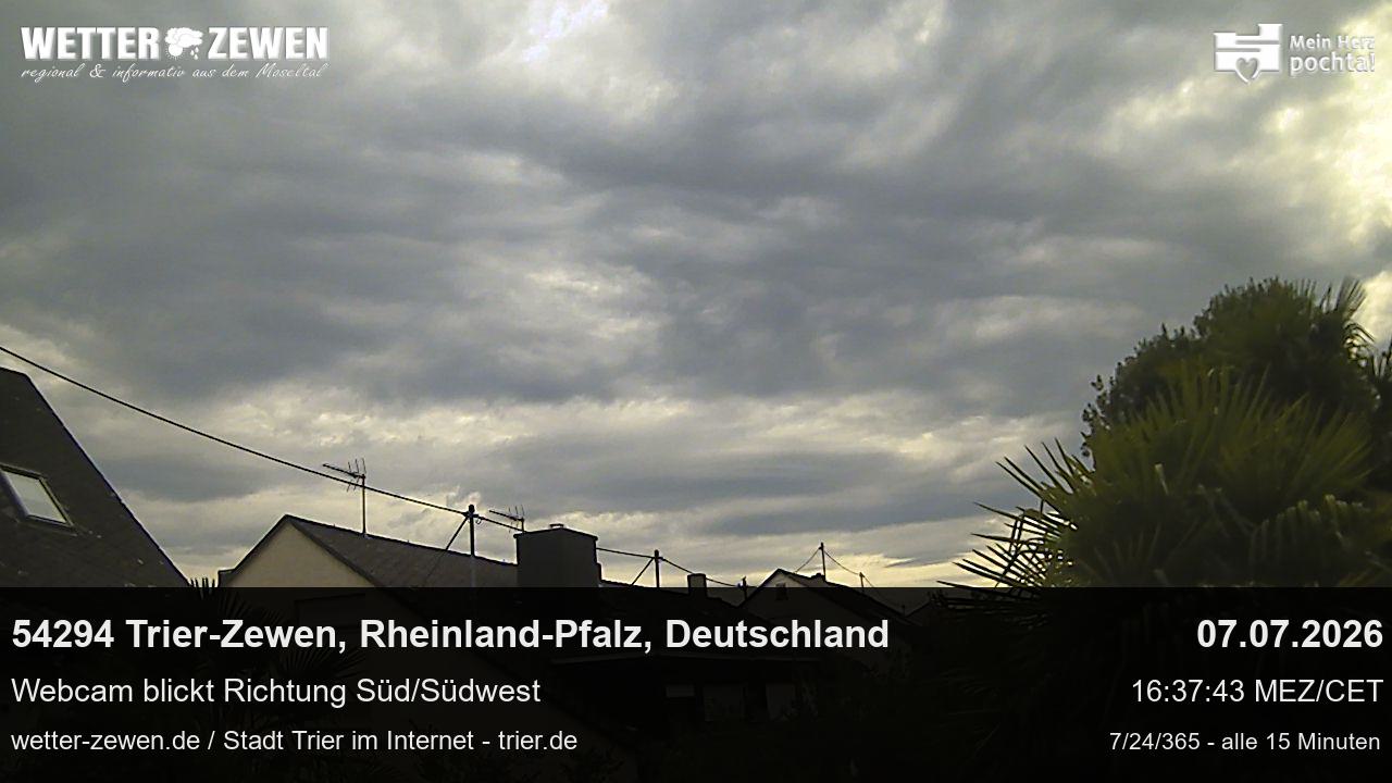 Bild