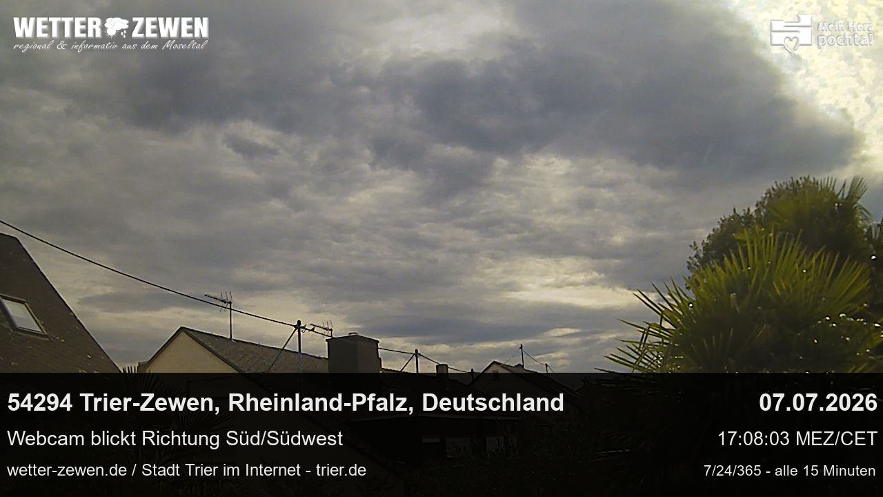 Bild