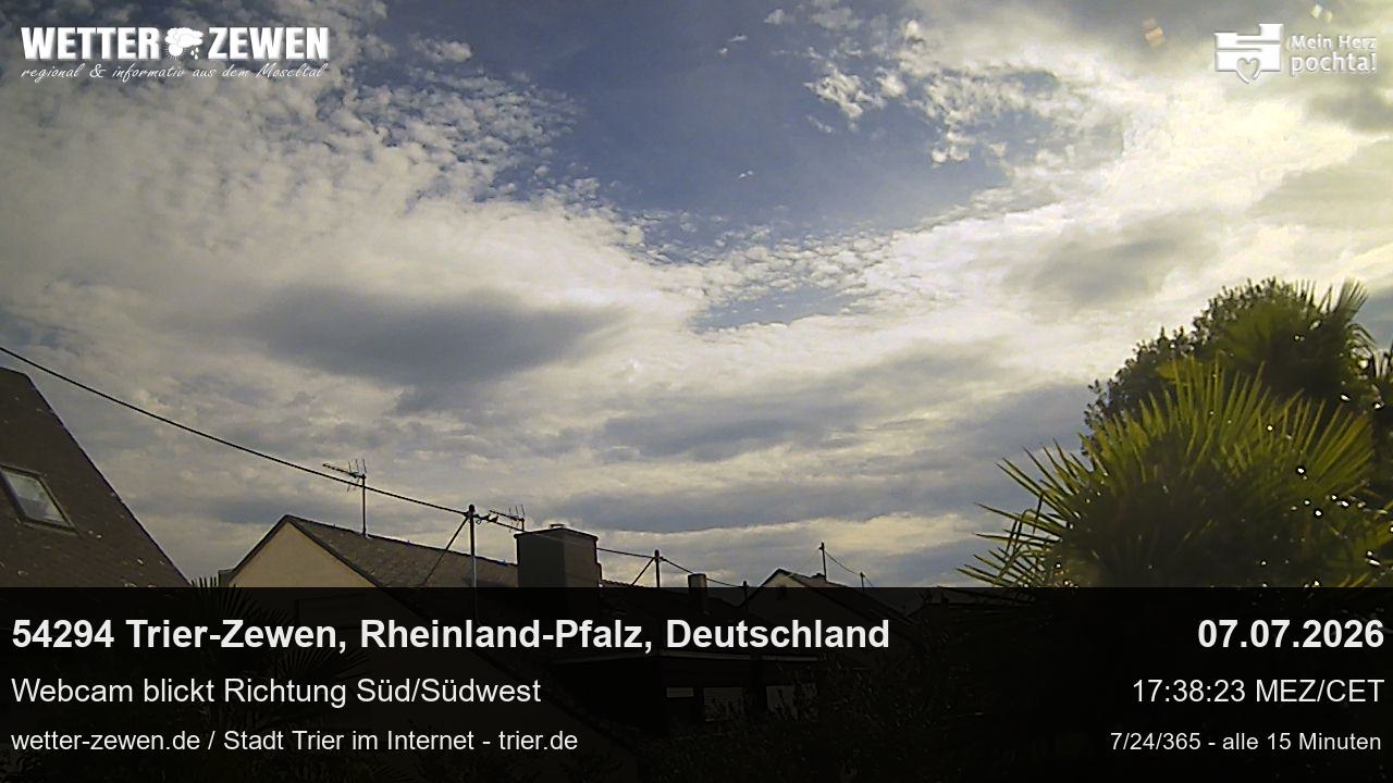 Bild