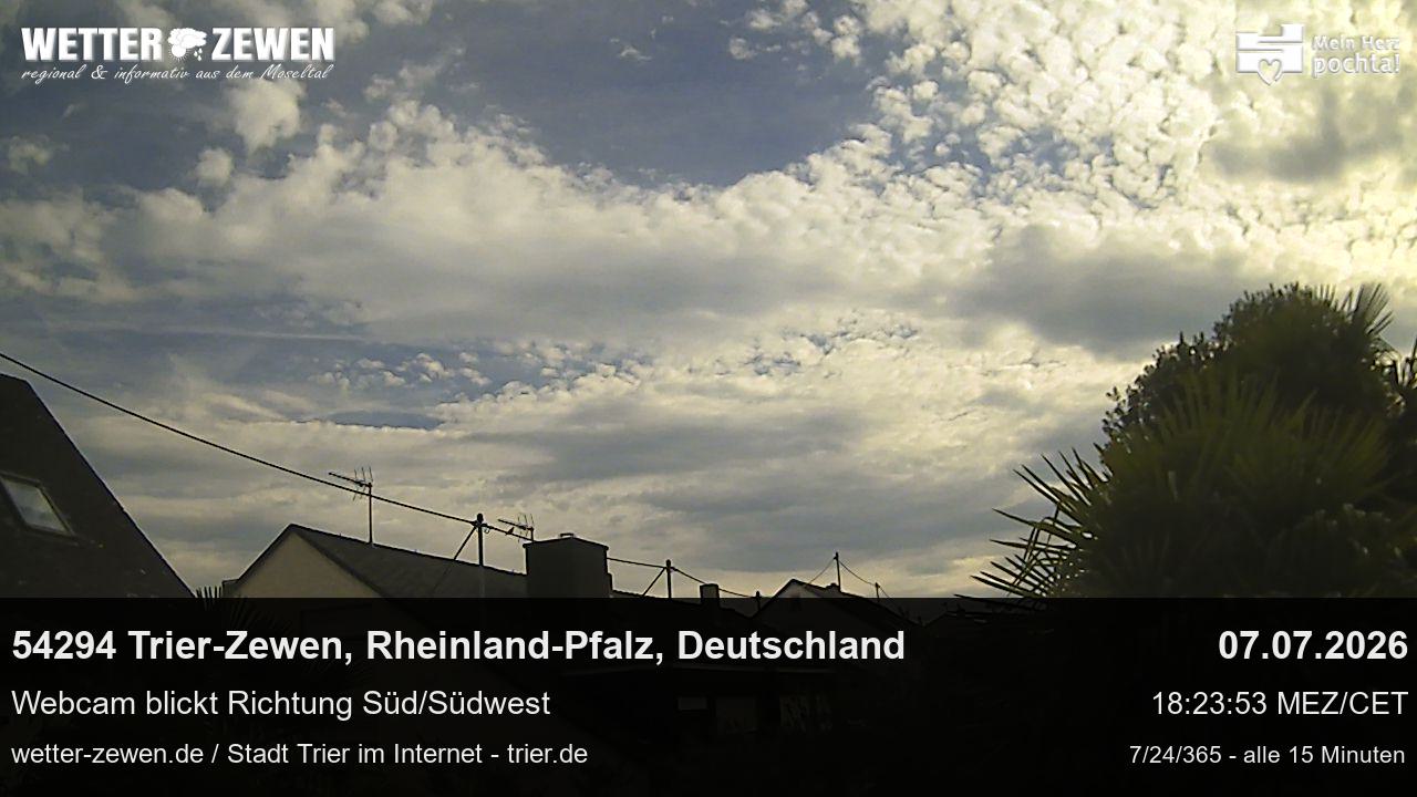 Bild