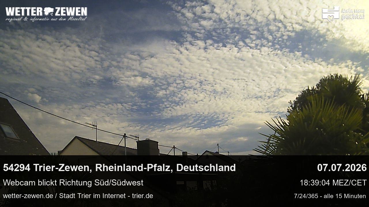 Bild