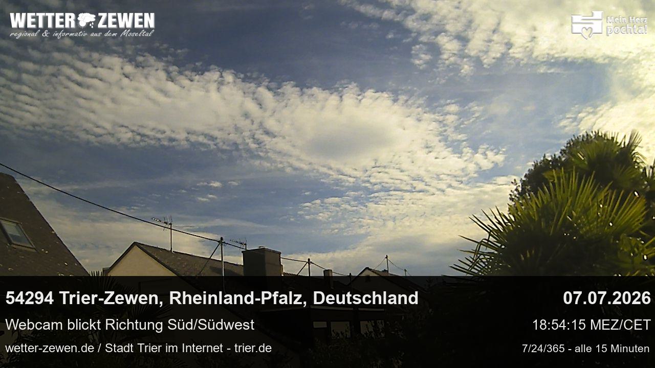 Bild