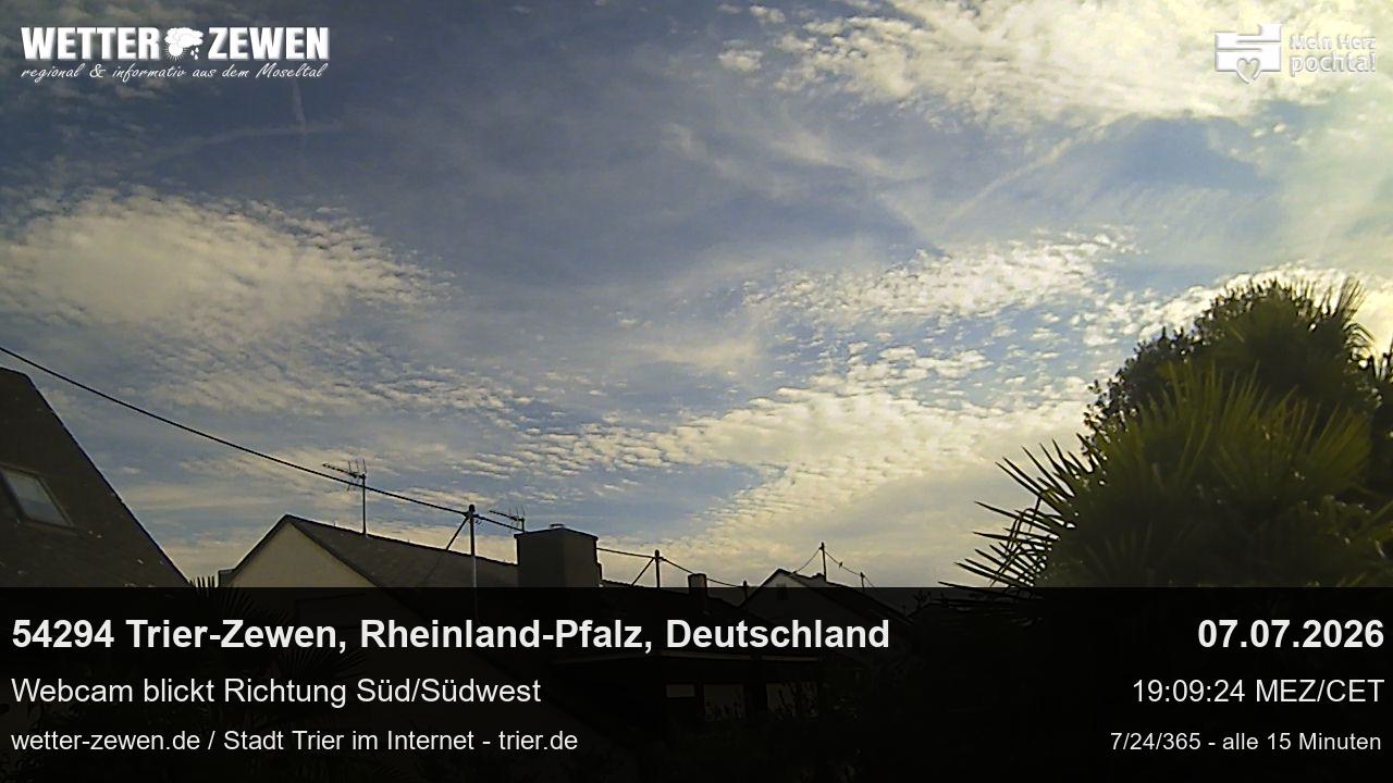 Bild
