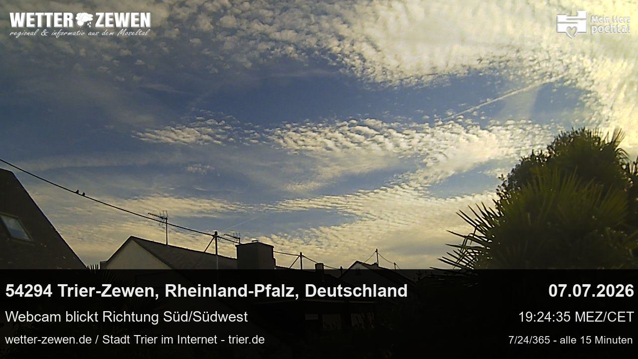 Bild