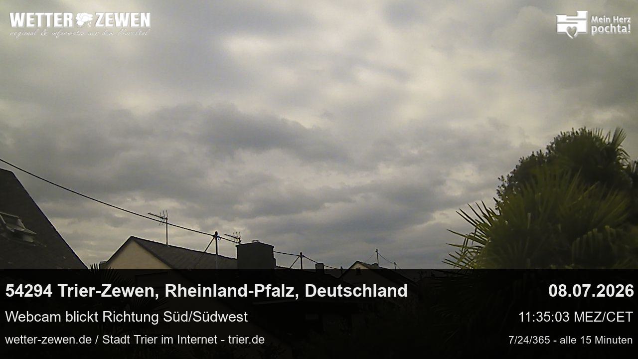 Bild