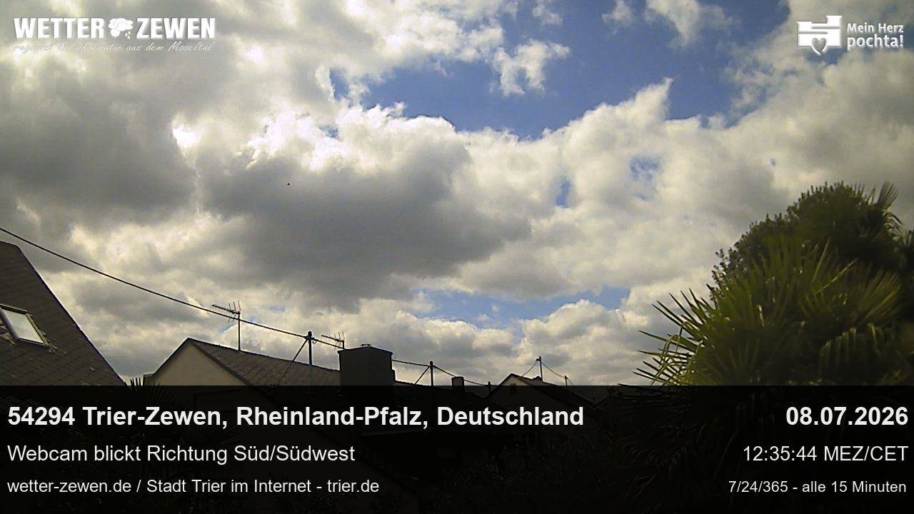 Bild