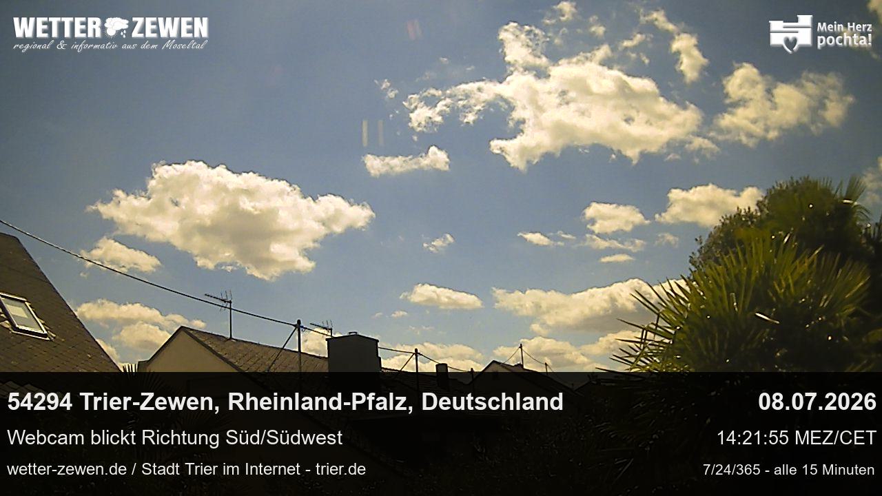 Bild