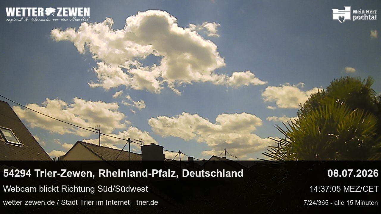 Bild