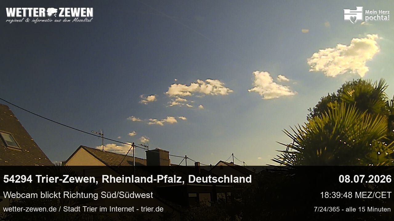Bild