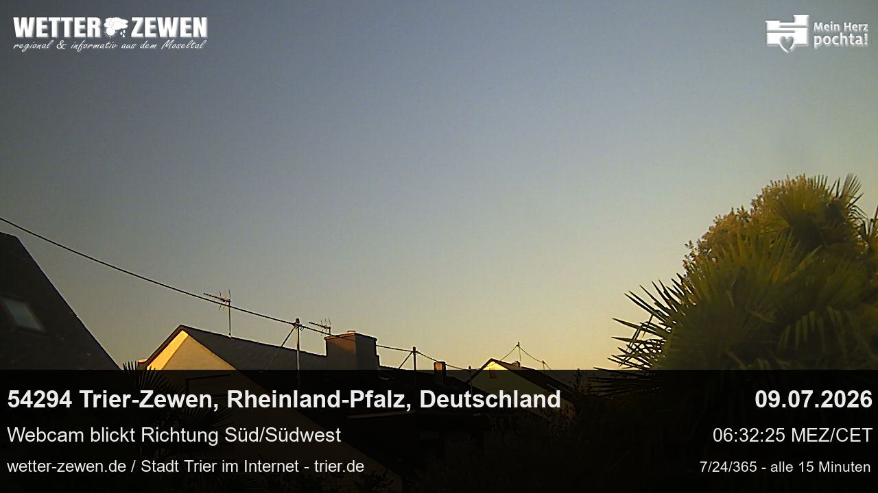 Bild