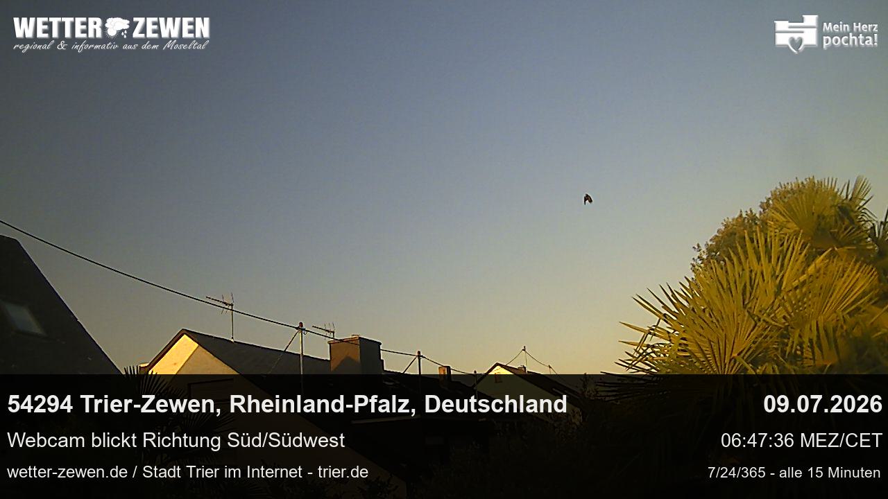 Bild