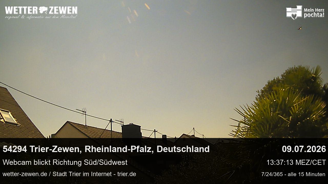 Bild
