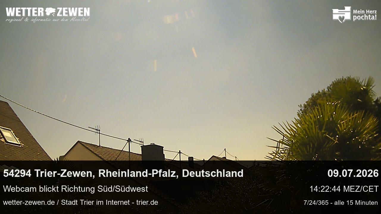 Bild