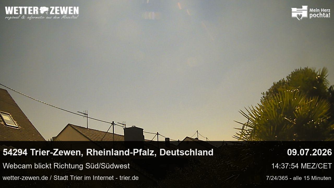 Bild