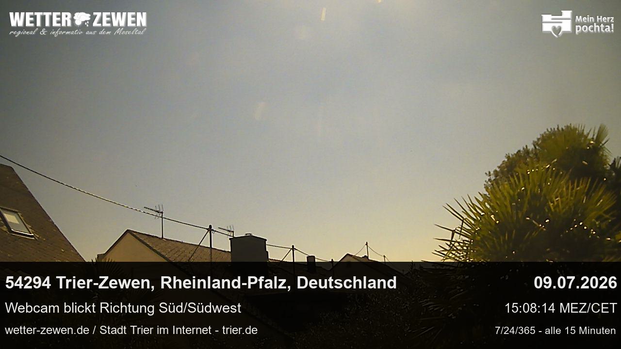 Bild