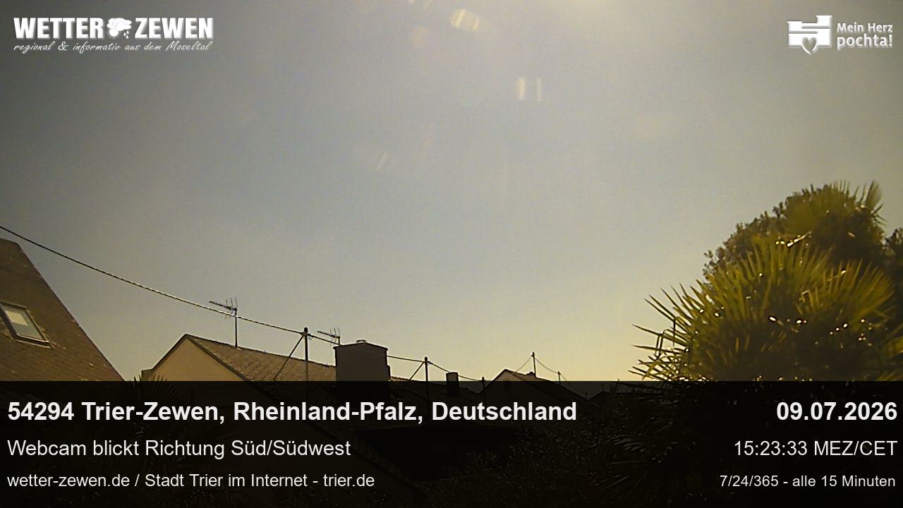 Bild