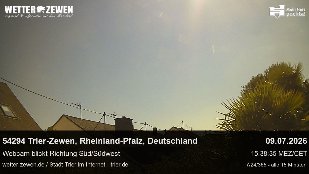 Bild