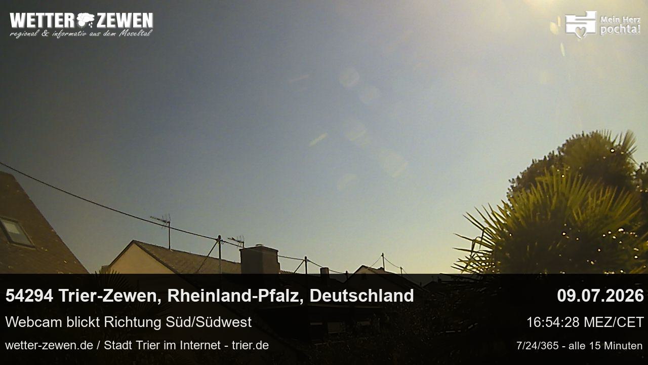 Bild