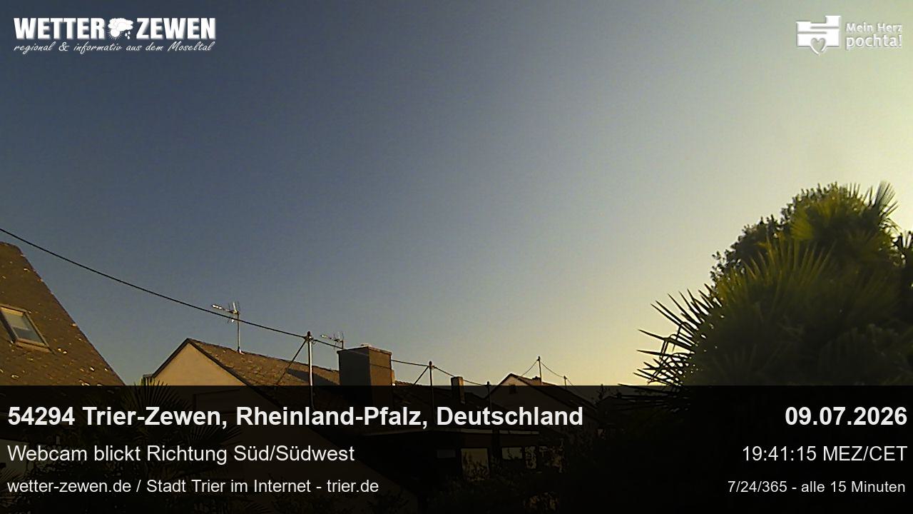 Bild