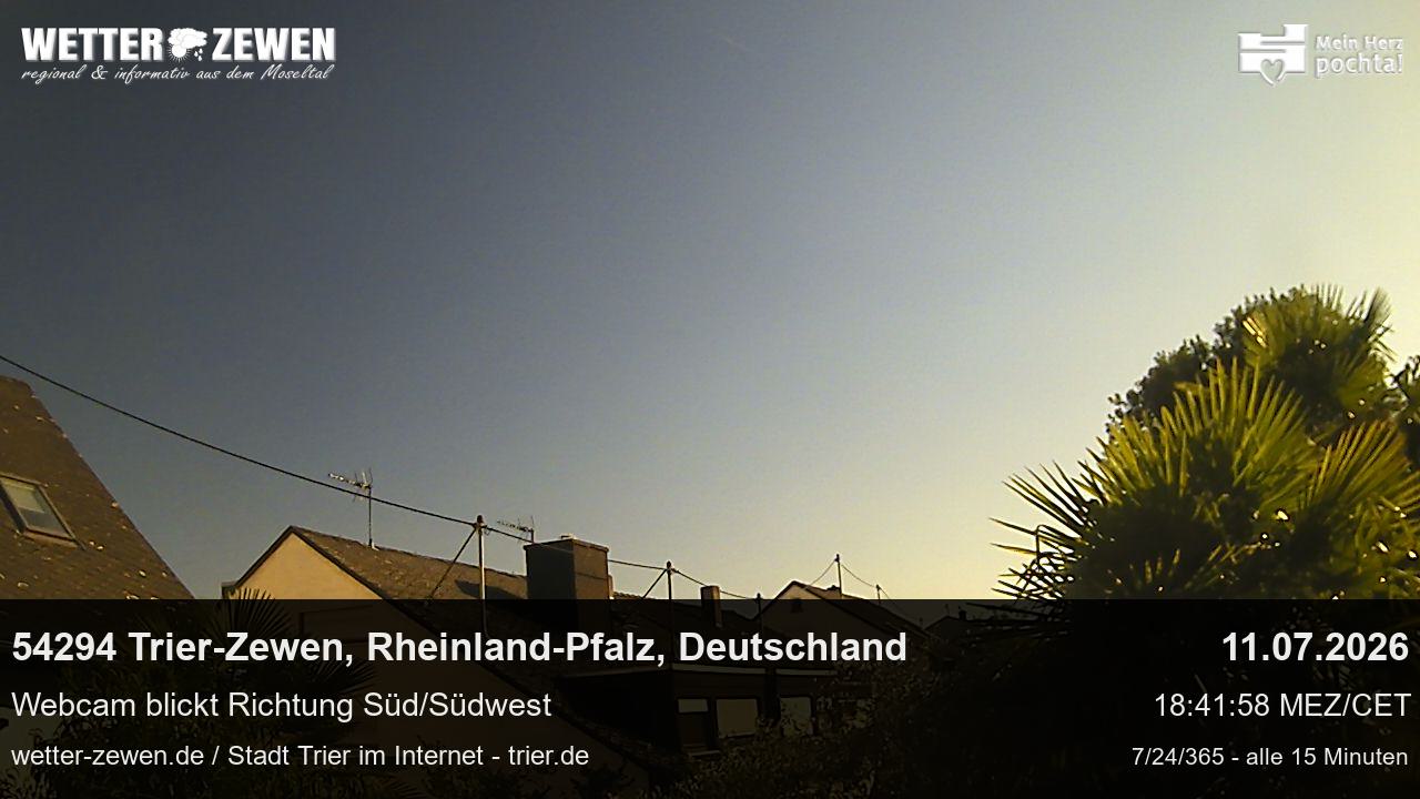 Bild
