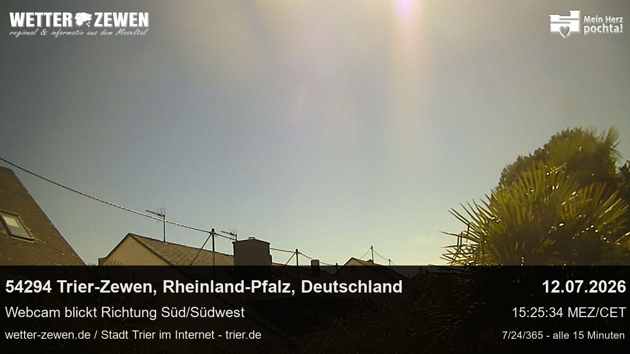 Bild