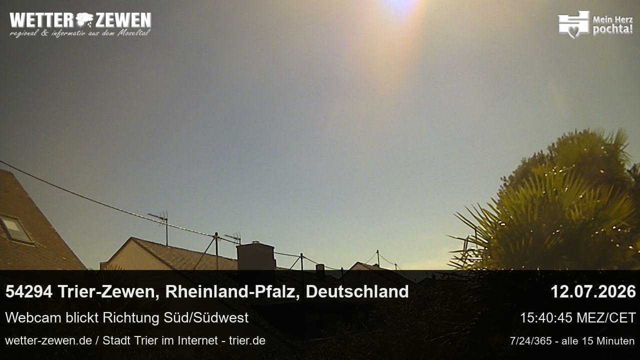 Bild