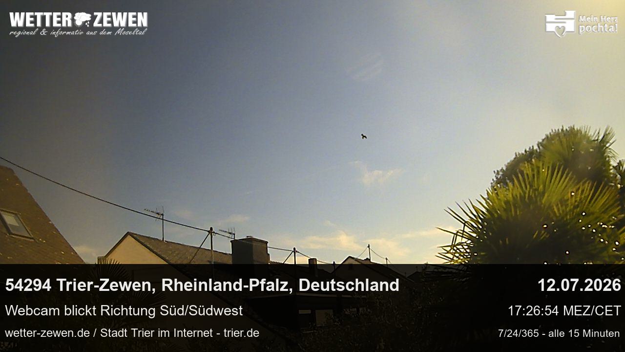Bild