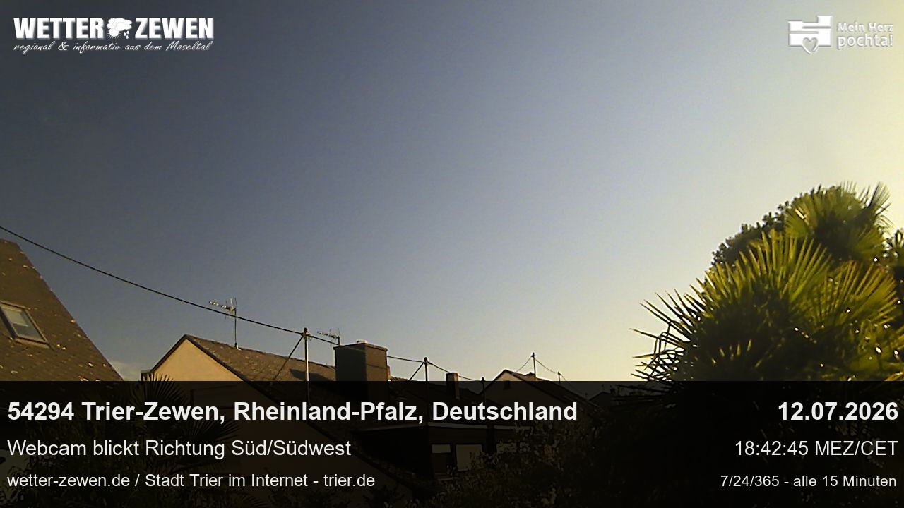 Bild