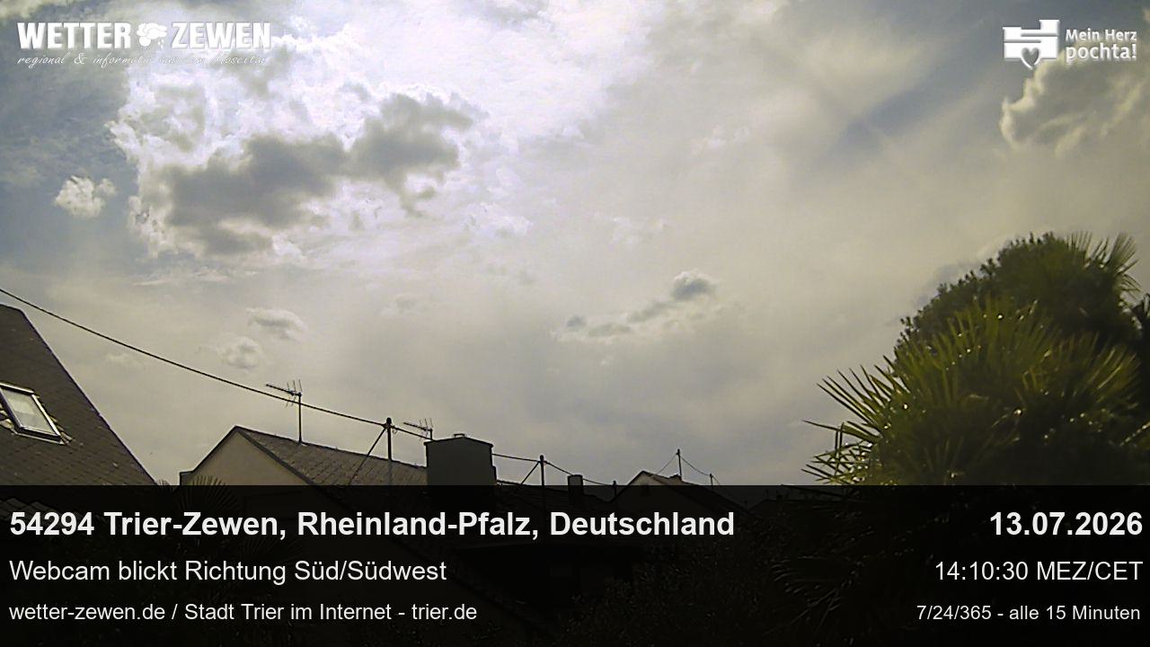Bild