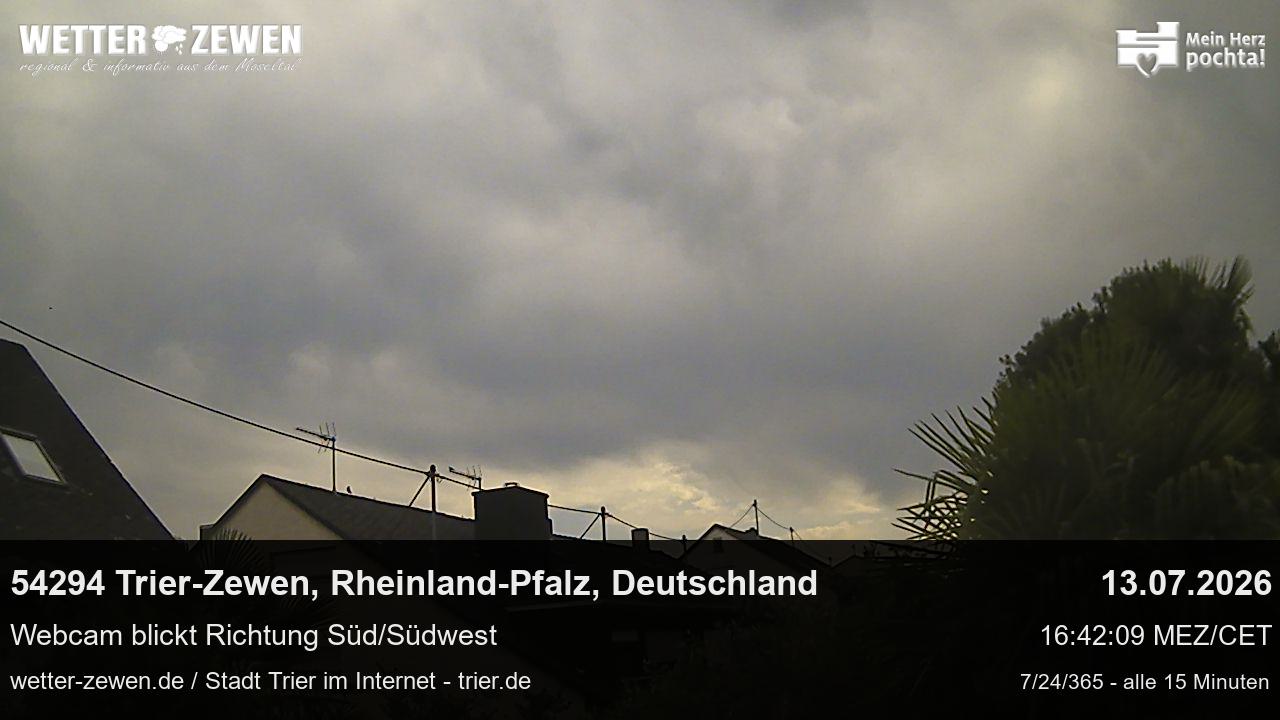 Bild