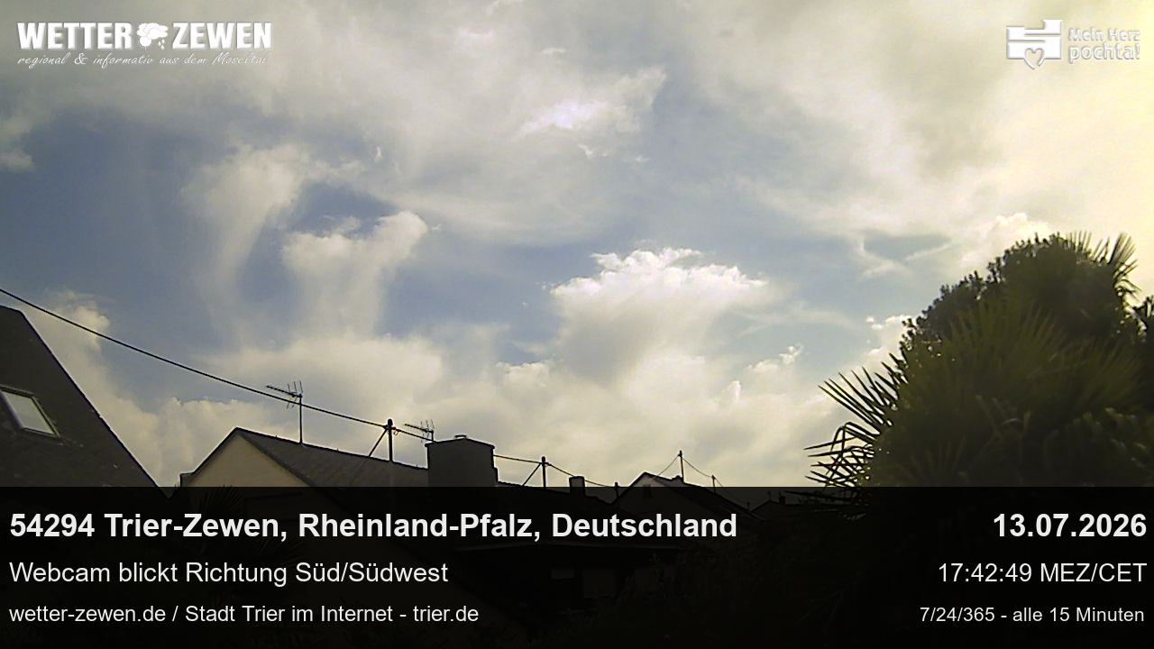 Bild