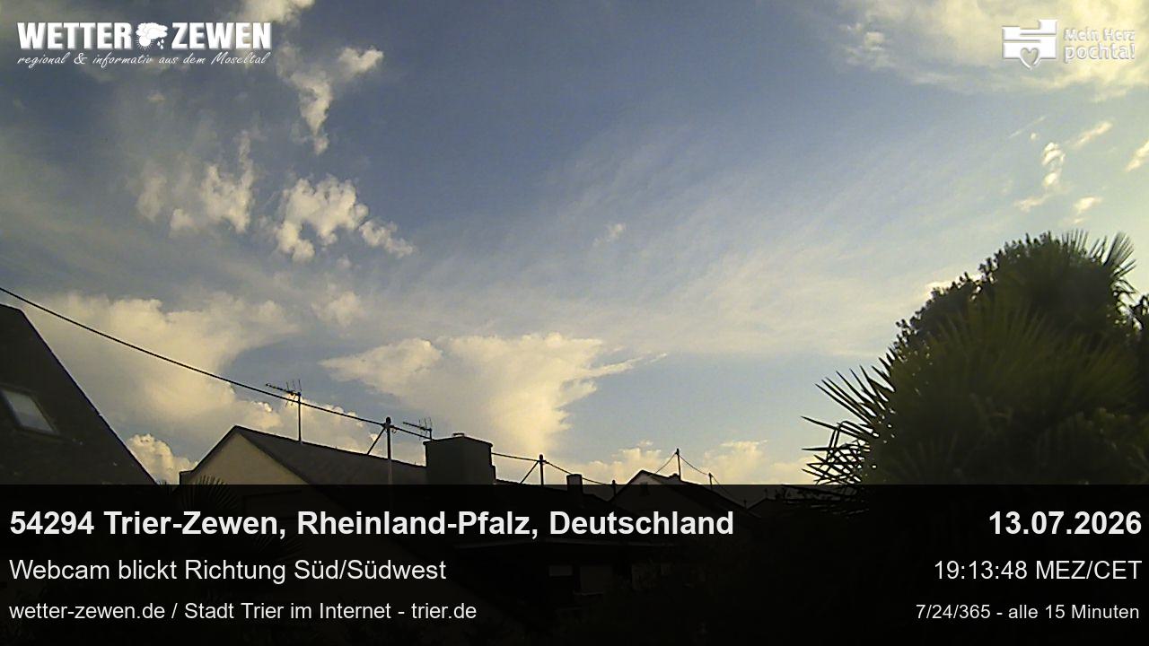 Bild