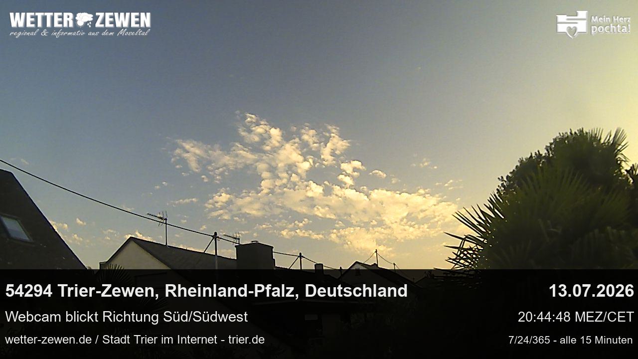 Bild