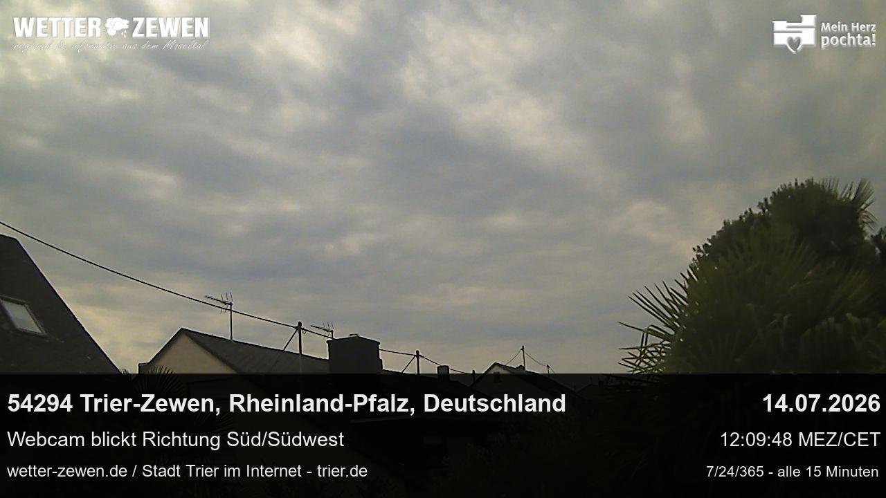 Bild
