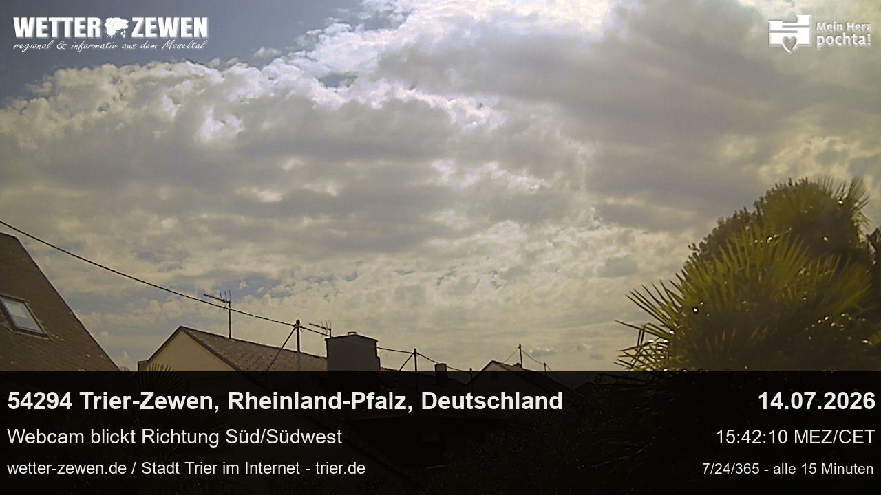 Bild