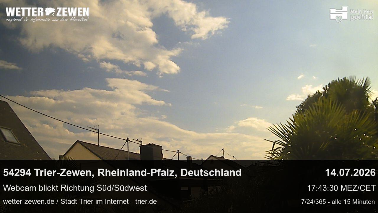 Bild